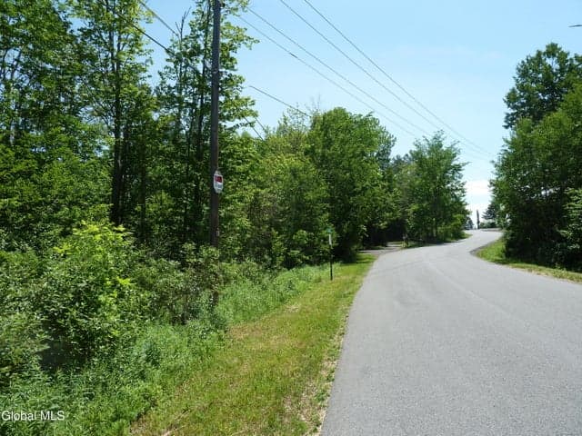 L6.114 Berry Lane, Hunter, NY, photo 2