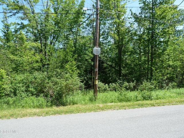 L6.114 Berry Lane, Hunter, NY, photo 3