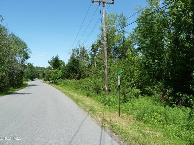 L6.114 Berry Lane, Hunter, NY, photo 4