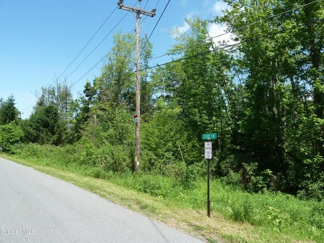 L6.114 Berry Lane, Hunter, NY, photo 5