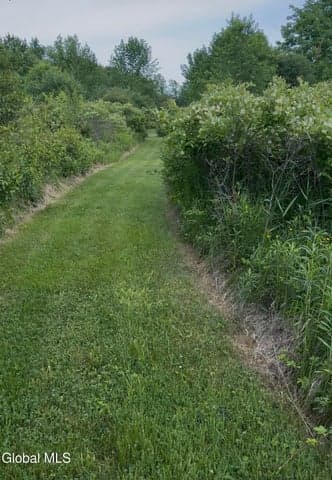L 8.2 Salsburg Road, Duanesburg, NY, photo 4