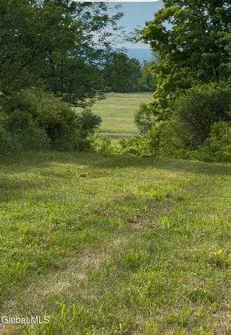 L 8.2 Salsburg Road, Duanesburg, NY, photo 1