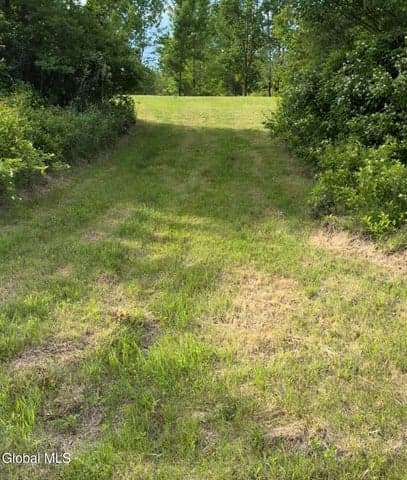 L 8.2 Salsburg Road, Duanesburg, NY, photo 5