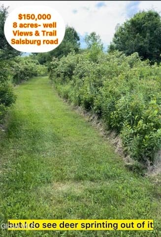 L 8.2 Salsburg Road, Duanesburg, NY, photo 2