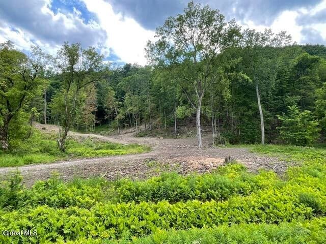 20419 State Route 22, Petersburgh, NY