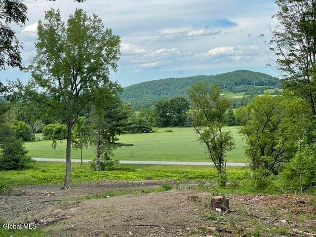 20419 State Route 22, Petersburgh, NY, photo 2