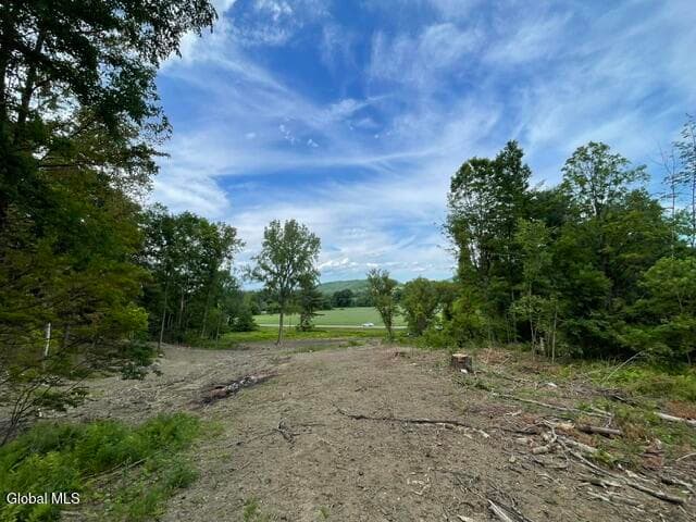 20419 State Route 22, Petersburgh, NY, photo 3