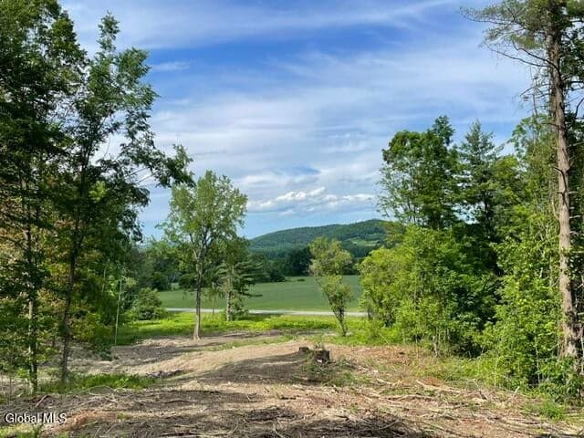 20419 State Route 22, Petersburgh, NY, photo 5