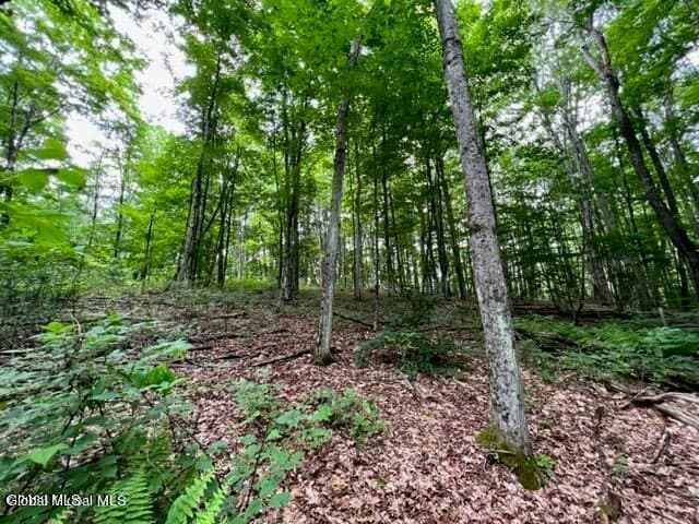 L 67.1 McGregor Road #Lot 1, Johnstown, NY