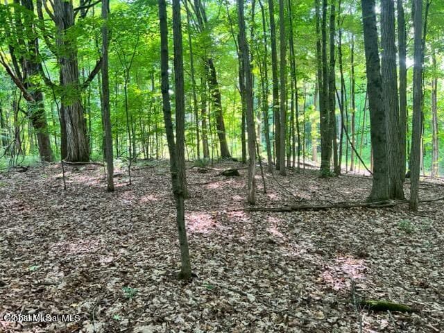 L 67.1 McGregor Road #Lot 1, Johnstown, NY, photo 2