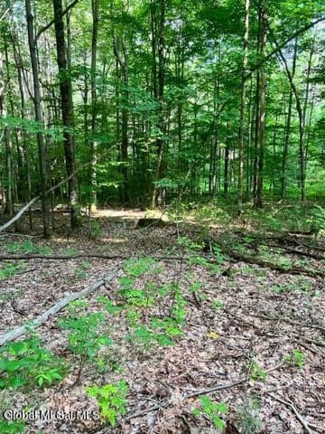 L 67.1 McGregor Road #Lot 1, Johnstown, NY, photo 3