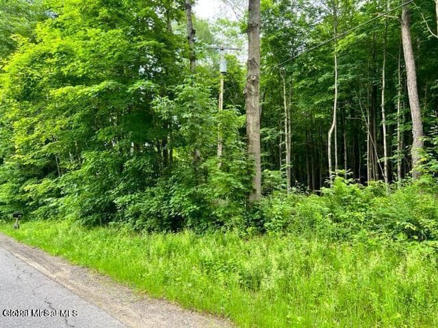 L 67.1 McGregor Road #Lot 1, Johnstown, NY, photo 4
