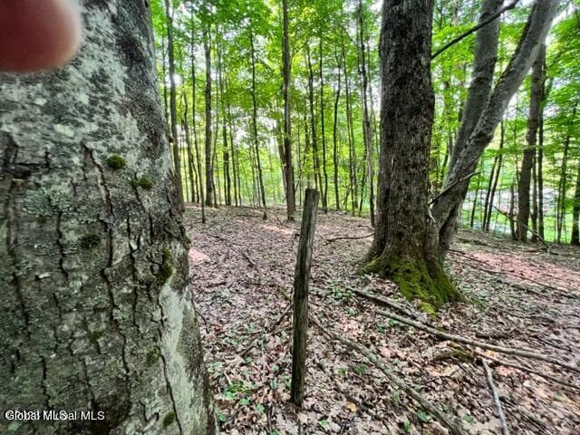 L 67.1 McGregor Road #Lot 1, Johnstown, NY, photo 5