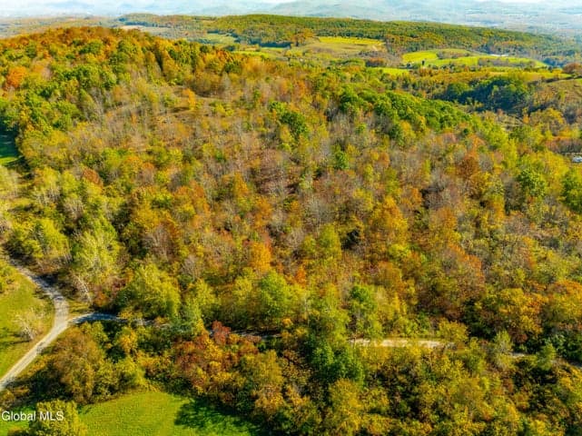 L39.5 Liebig Road, Hebron, NY, photo 3