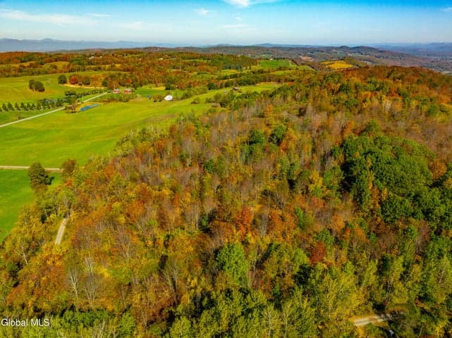L39.5 Liebig Road, Hebron, NY, photo 5