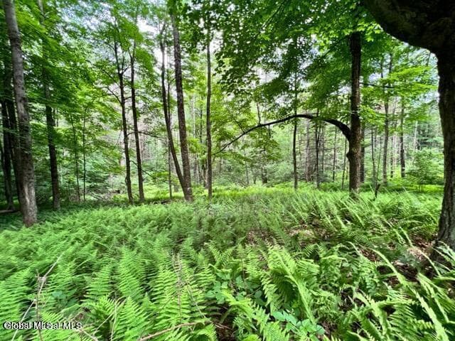 L 67.1 McGregor Road #Lot 2, Johnstown, NY