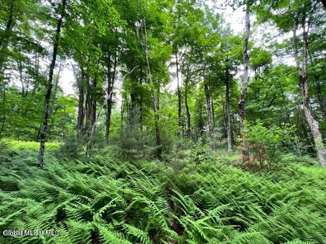 L 67.1 McGregor Road #Lot 2, Johnstown, NY, photo 2