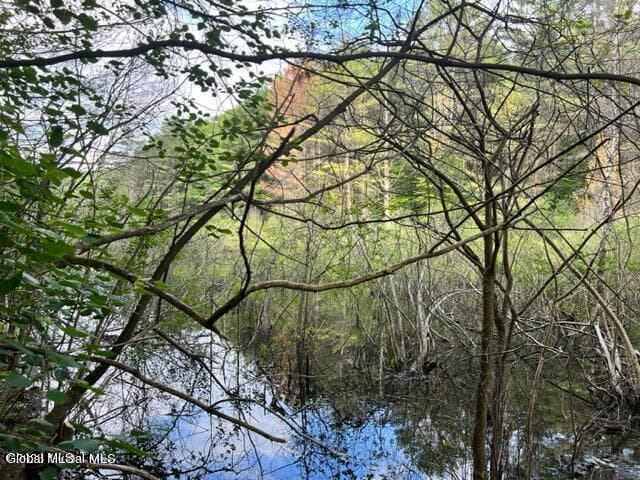 L 67.1 McGregor Road #Lot 2, Johnstown, NY, photo 3