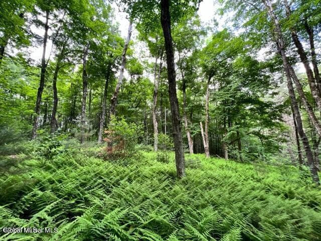 L 67.1 McGregor Road #Lot 2, Johnstown, NY, photo 4
