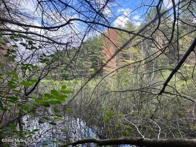 L 67.1 McGregor Road #Lot 2, Johnstown, NY, photo 5
