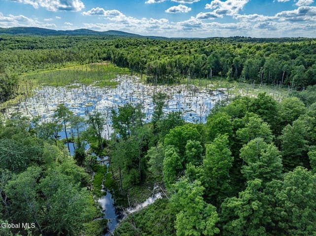 269 Federal City Road, Broome, NY, photo 5