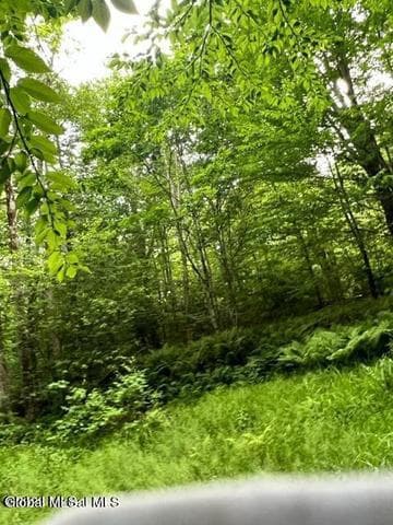 L 67.1 McGregor Road #Lot 3, Johnstown, NY, photo 2