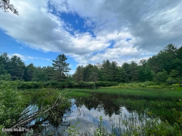 L 67.1 McGregor Road #Lot 3, Johnstown, NY, photo 3