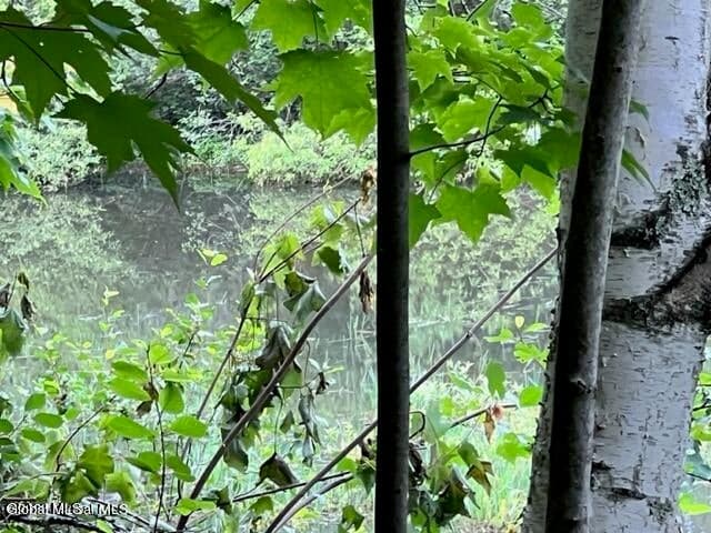 L 67.1 McGregor Road #Lot 3, Johnstown, NY, photo 4