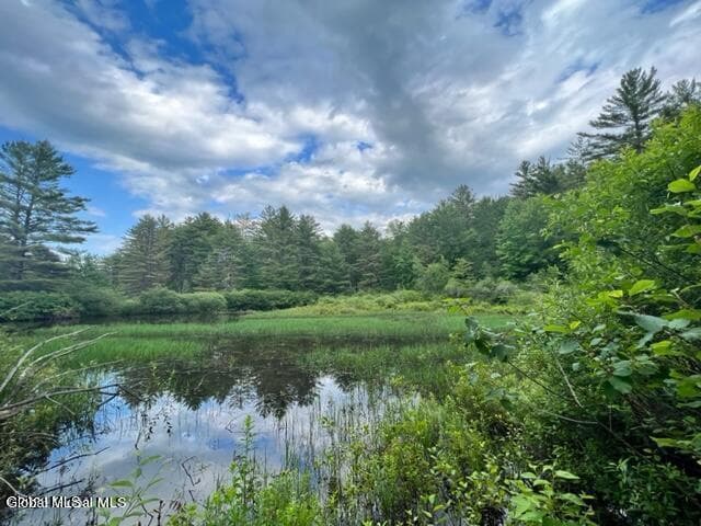 L 67.1 McGregor Road #Lot 3, Johnstown, NY, photo 5