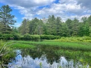 L 67.1 McGregor Road #Lot 4, Johnstown, NY