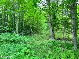 L 67.1 McGregor Road #Lot 4, Johnstown, NY, photo 2