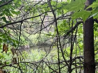 L 67.1 McGregor Road #Lot 4, Johnstown, NY, photo 3