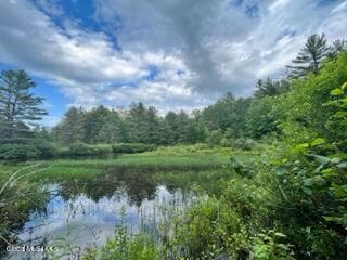 L 67.1 McGregor Road #Lot 4, Johnstown, NY, photo 4