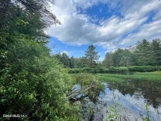 L 67.1 McGregor Road #Lot 4, Johnstown, NY, photo 5
