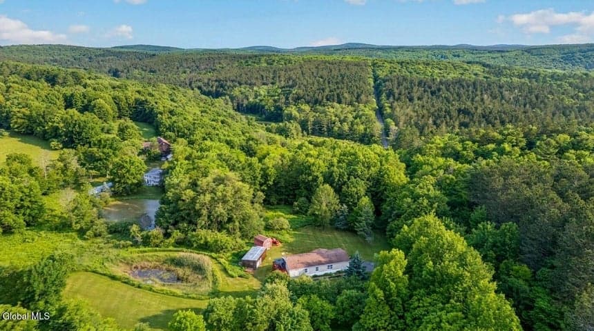 171 Rossman Hill Road, Summit, NY, photo 3