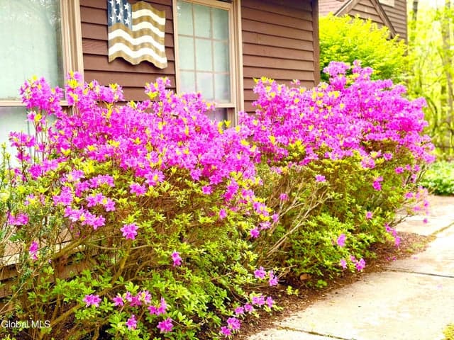 14 Thoroughbred Way, Clifton Park, NY, photo 3
