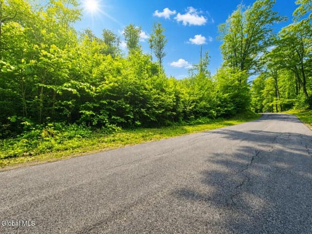 203 Watershed Road, Johnstown, NY, photo 4