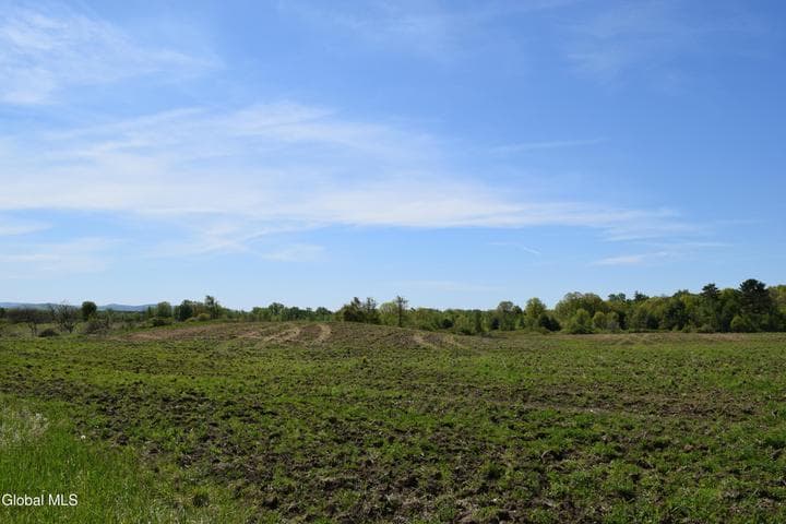 115 Farm To Market Road, Halfmoon, NY, photo 5