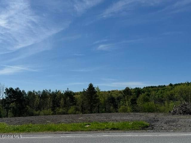 L2.114 Duanesburg Road, Delanson, NY