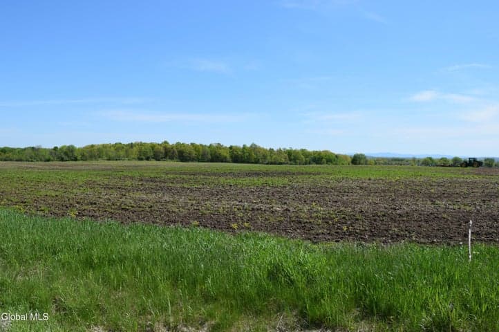 115 Farm To Market Road, Halfmoon, NY, photo 1