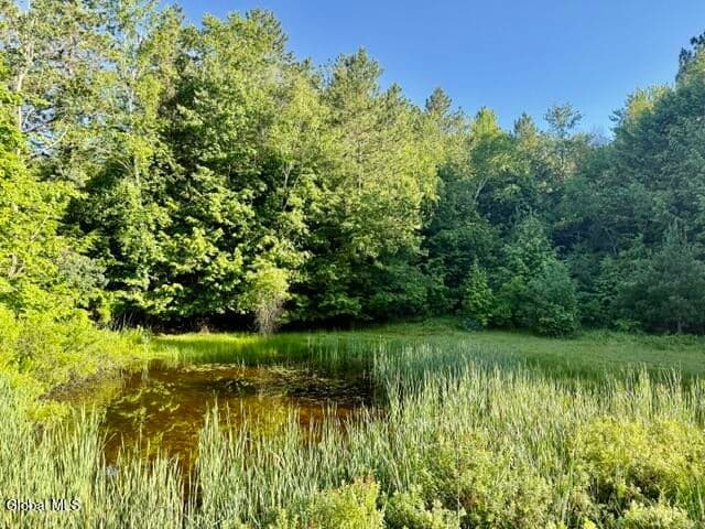 28 Starcrest Drive, Sand Lake, NY, photo 4