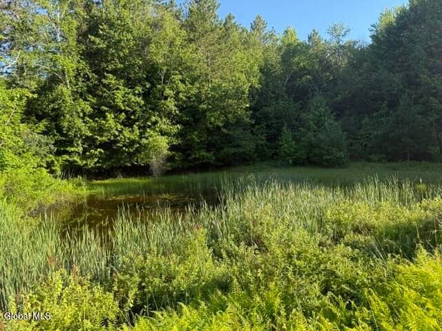 28 Starcrest Drive, Sand Lake, NY, photo 5