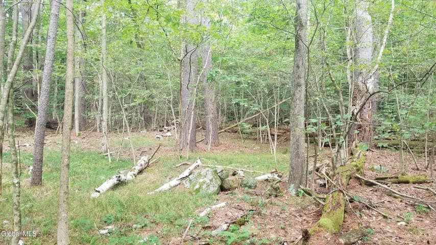 353 Flat Rock Road #Lot 3, Lake George, NY, photo 4