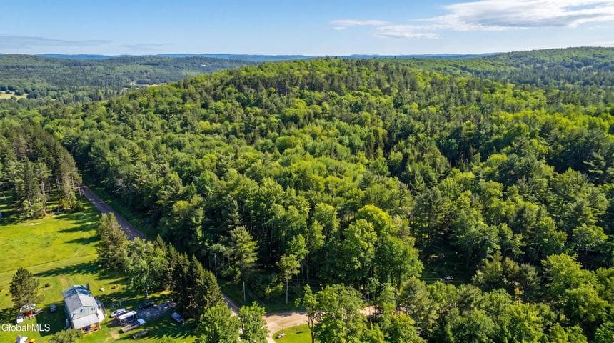 L29 County Highway 45, Hartwick, NY, photo 1