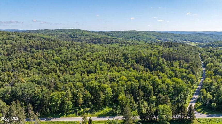 L29 County Highway 45, Hartwick, NY, photo 3