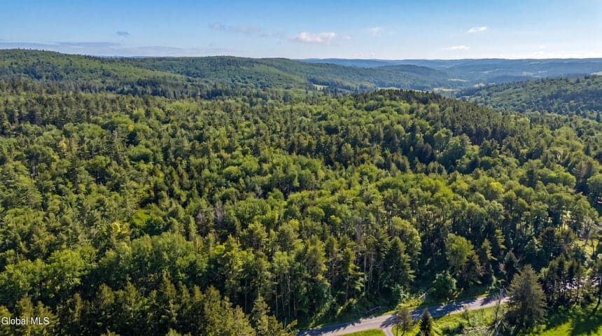 L29 County Highway 45, Hartwick, NY, photo 4