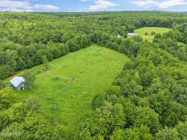 159 Ely Road, Gilboa, NY, photo 4