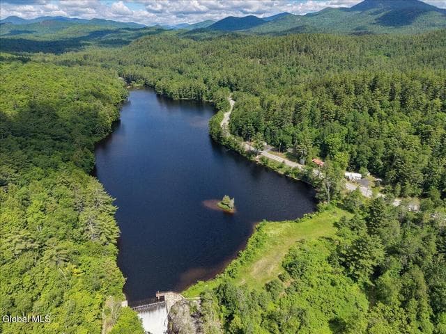 3915 Blue Ridge Road, North Hudson, NY, photo 2