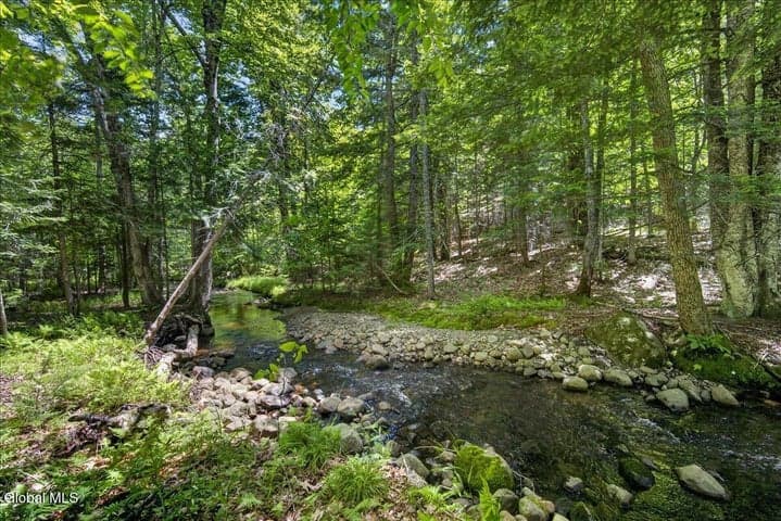 69 Chatiemac Trail, Johnsburg, NY, photo 2