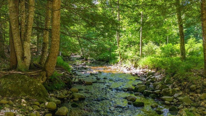 69 Chatiemac Trail, Johnsburg, NY, photo 3